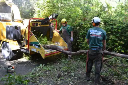 tree services Vacaville